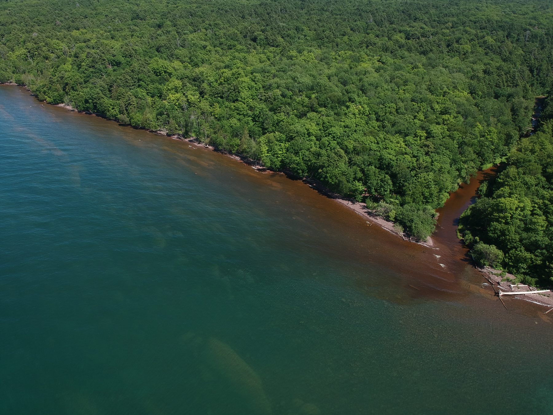 Aerial view following the narrow meeting of forest and water